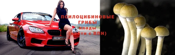 мяу мяу мука Зеленодольск