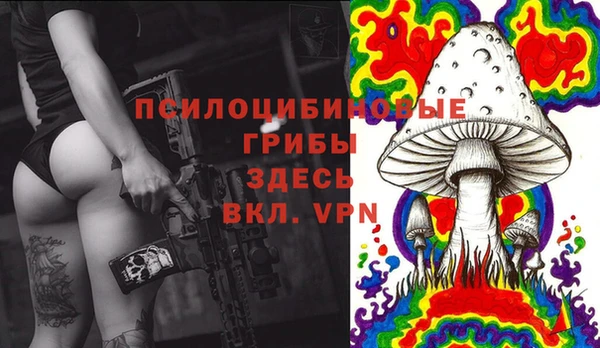 мяу мяу мука Зеленодольск