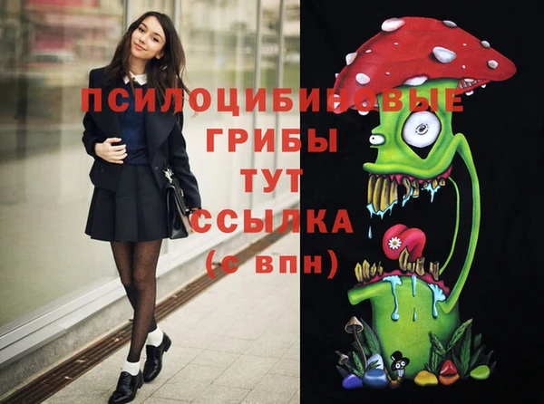 гашишное масло Шадринск
