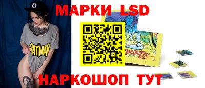 шишки Заволжье