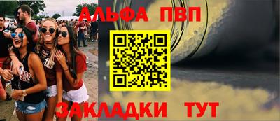 шишки Заволжье