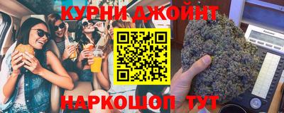шишки Заволжье