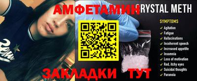шишки Заволжье