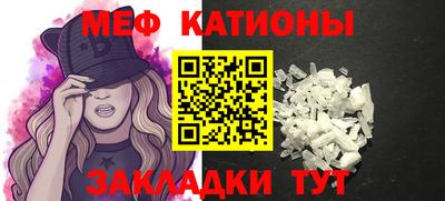 шишки Заволжье