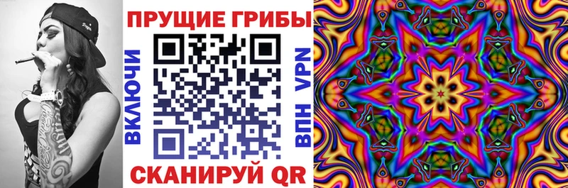 mega ссылки  Соль-Илецк  Галлюциногенные грибы Psilocybine cubensis 