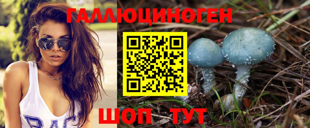 Соль-Илецк  Псилоцибиновые грибы Cubensis  Вход с VPN  Псилоцибиновые грибы Magic Shrooms 