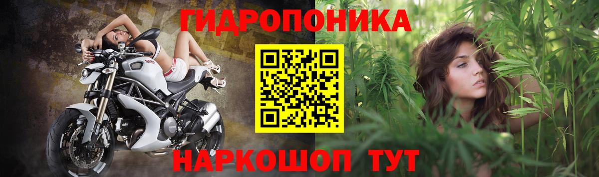 Бошки Шишки MAZAR Соль-Илецк